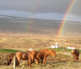 Reiðhestarnir (1).jpg